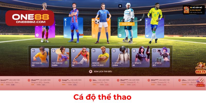 Hình thức cá cược thể thao phổ biến hiện nay